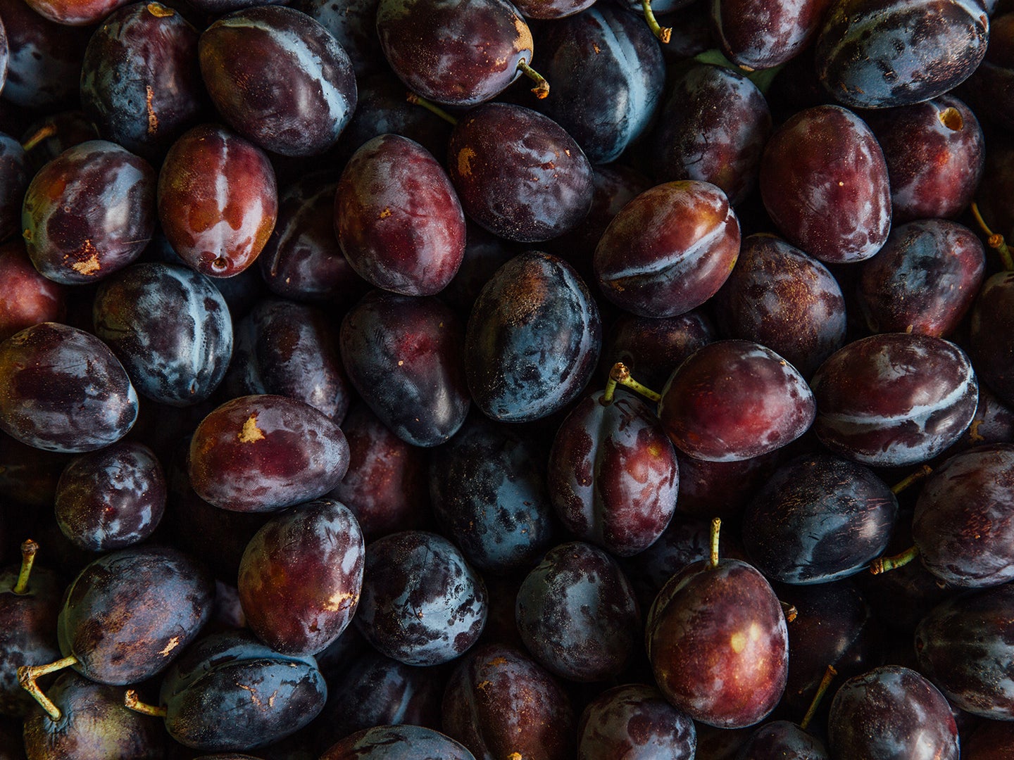 Orca fruits