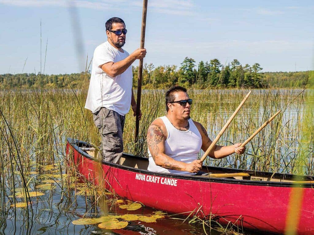 Mike Magney and Moon Jacobson float in field of wild rice on canoe.