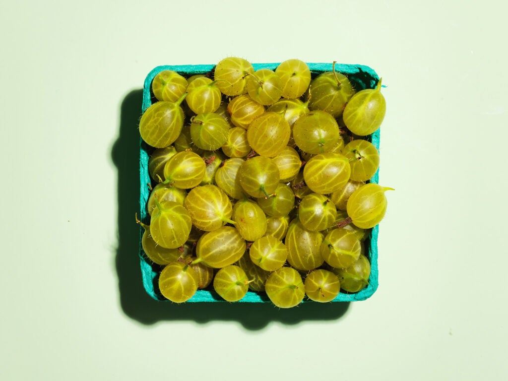 Gooseberries