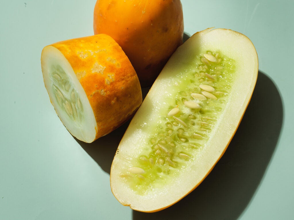 Chinese Yellow Cucumber