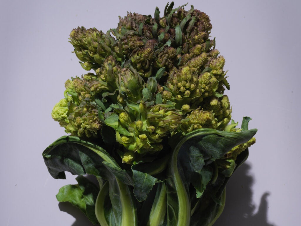 Romanesco