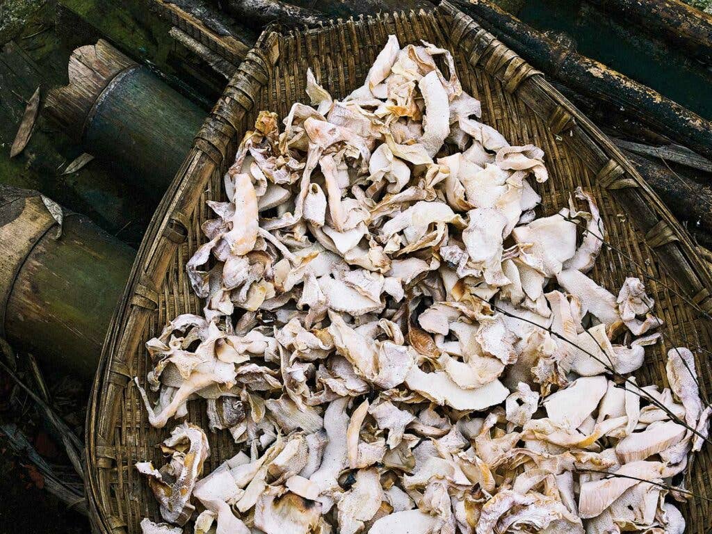 Xiong mao yan, or “panda meal,” in basket.