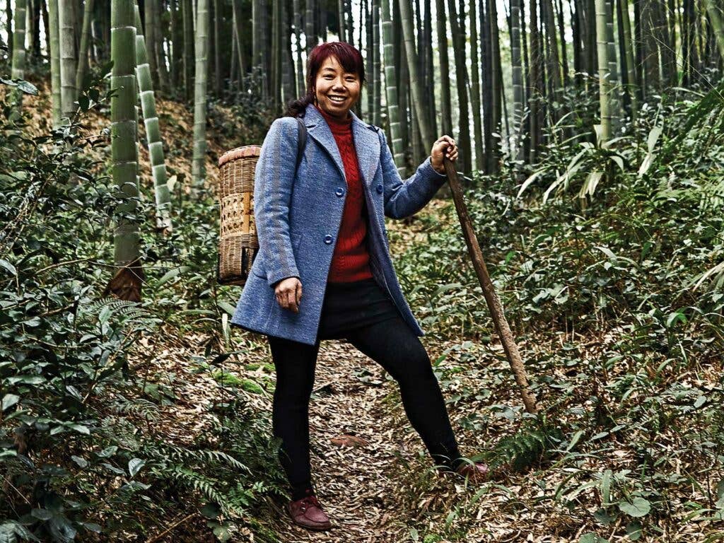 Xiao Zai Hui in Shunan Zhuhai National Park, also known as the Bamboo Sea.