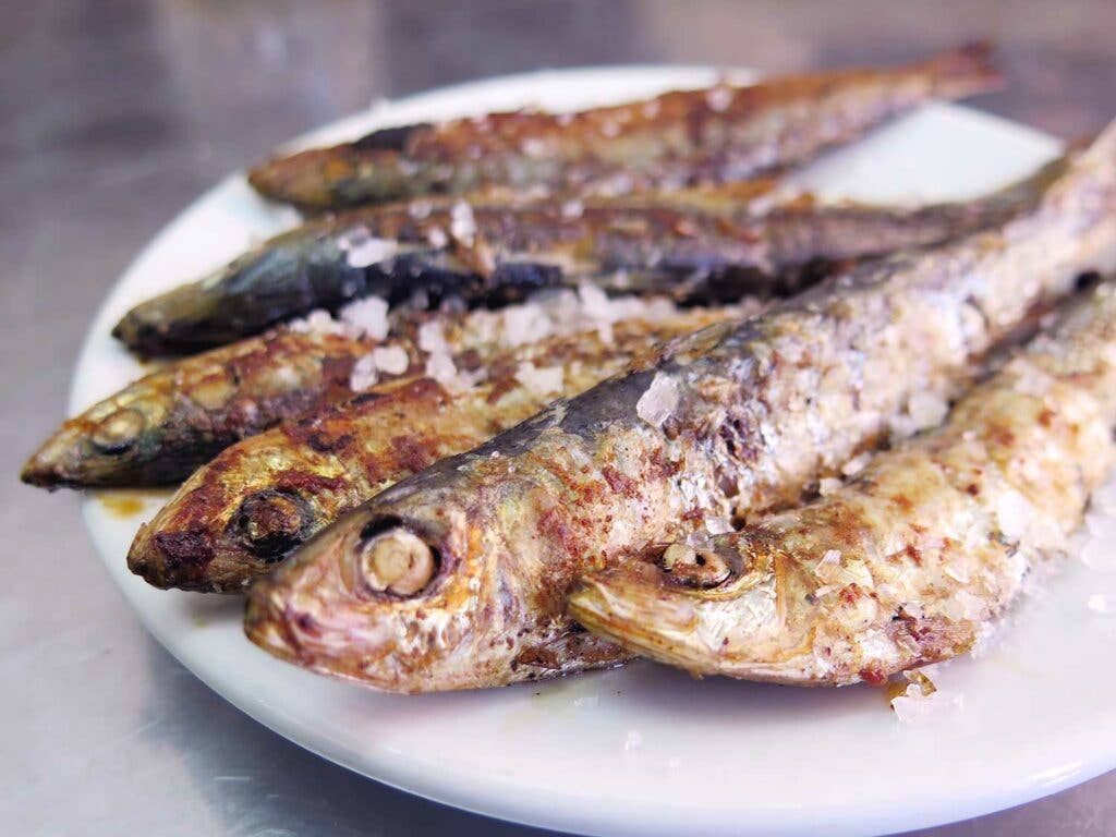 Sardines caught off the shores of Castellón