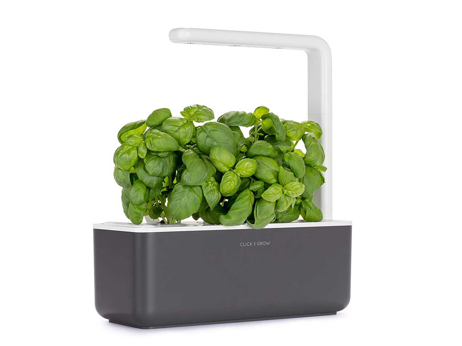 The Best Indoor Herb Gardens for Home Cooks Saveur