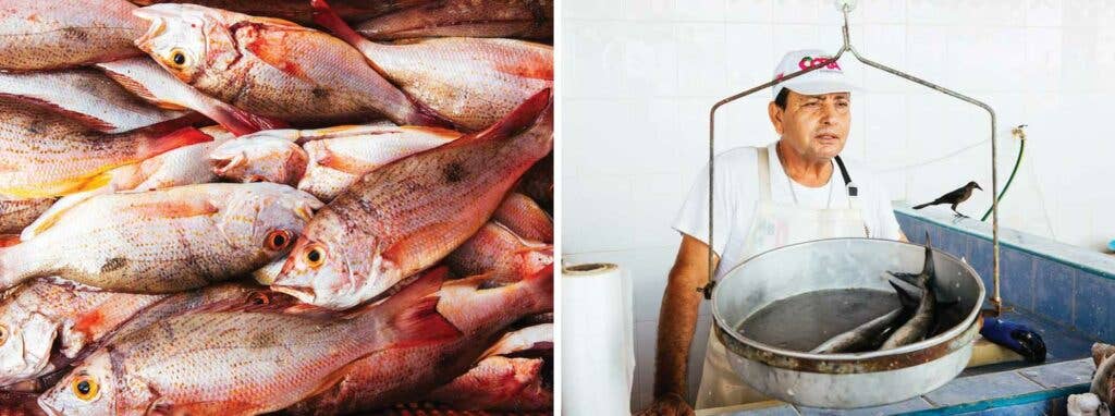 Red snapper and a fishmonger at La Cruz market.