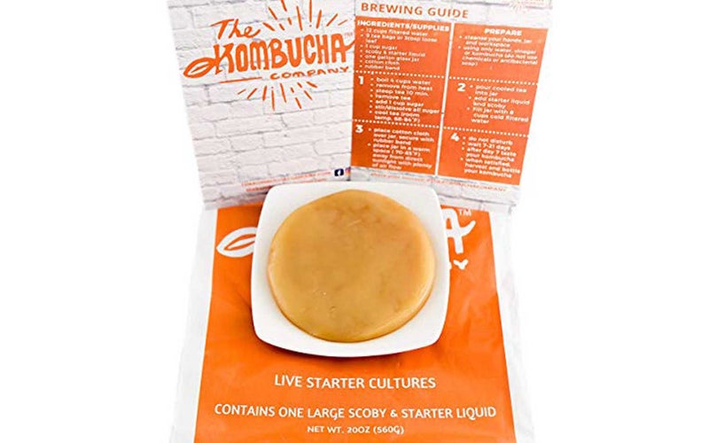 The Kombucha Company Large Kombucha SCOBY and Starter Tea