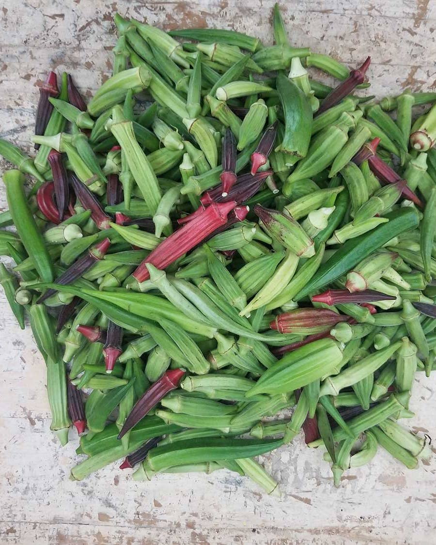 The Proper Way to Cook Okra, According to an Okra Obsessive