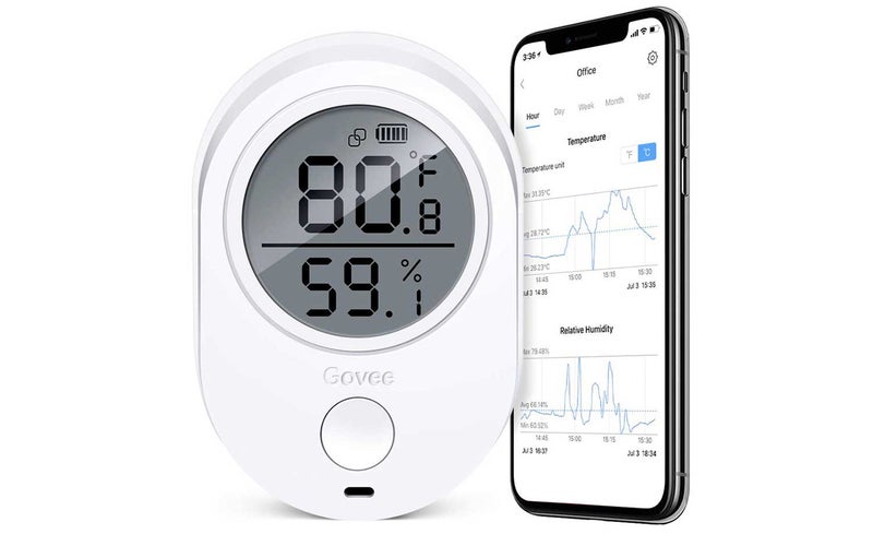 Govee monitor.