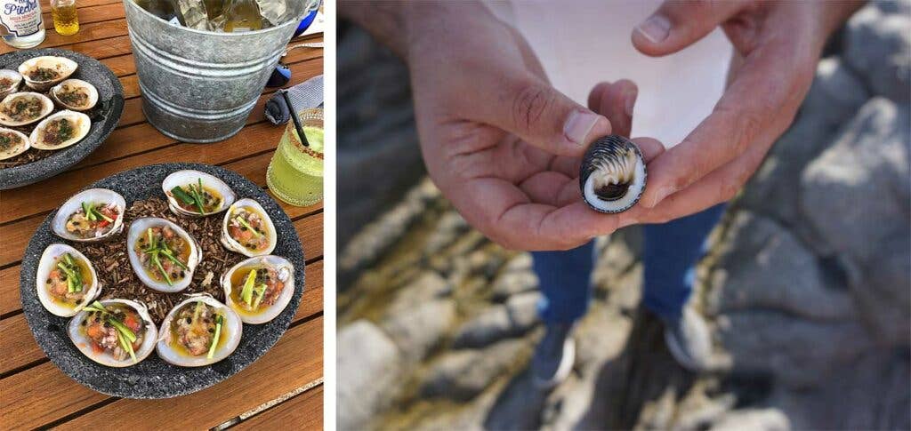 Chocolate clams on the beach at Esperanza; Chef Gomez forages for sea snails along the rocks of the resort.