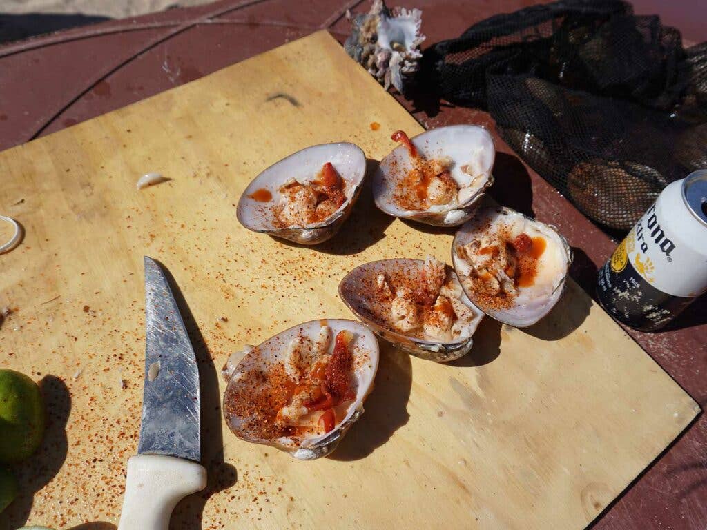 Clam cocktail using chilies, tomato sauce, beer, and a splash of Clamato.