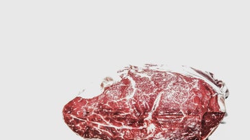 The Tools You Need to Dry-Age Beef at Home