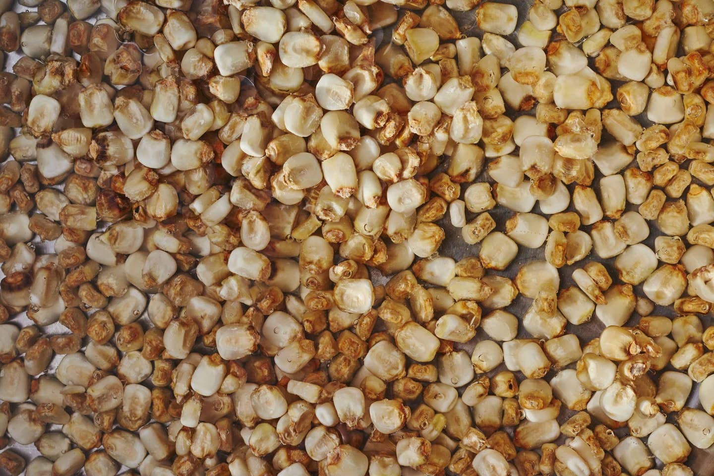 Cooked Dried Hominy