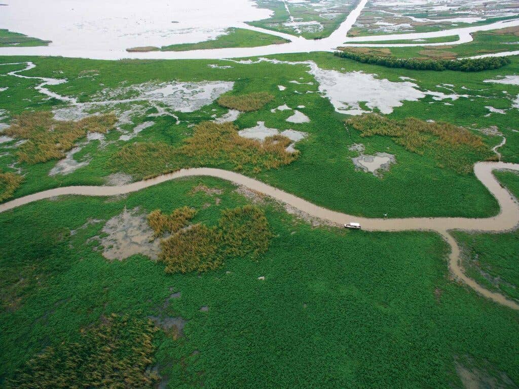 A view of the delta from above.