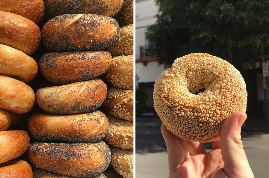 Sheikob’s bagels