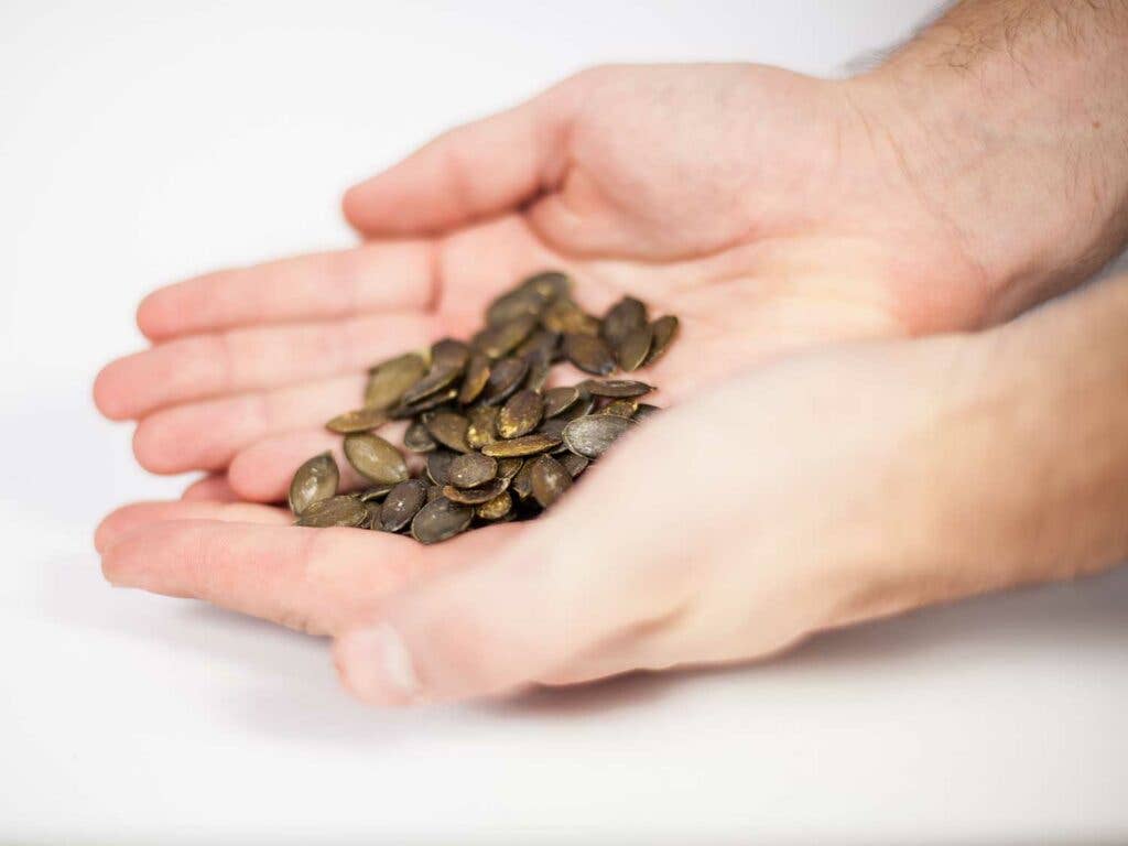 Pumpkin seeds washed, dried, and cleaned so they are shelf-stable for up to two years.