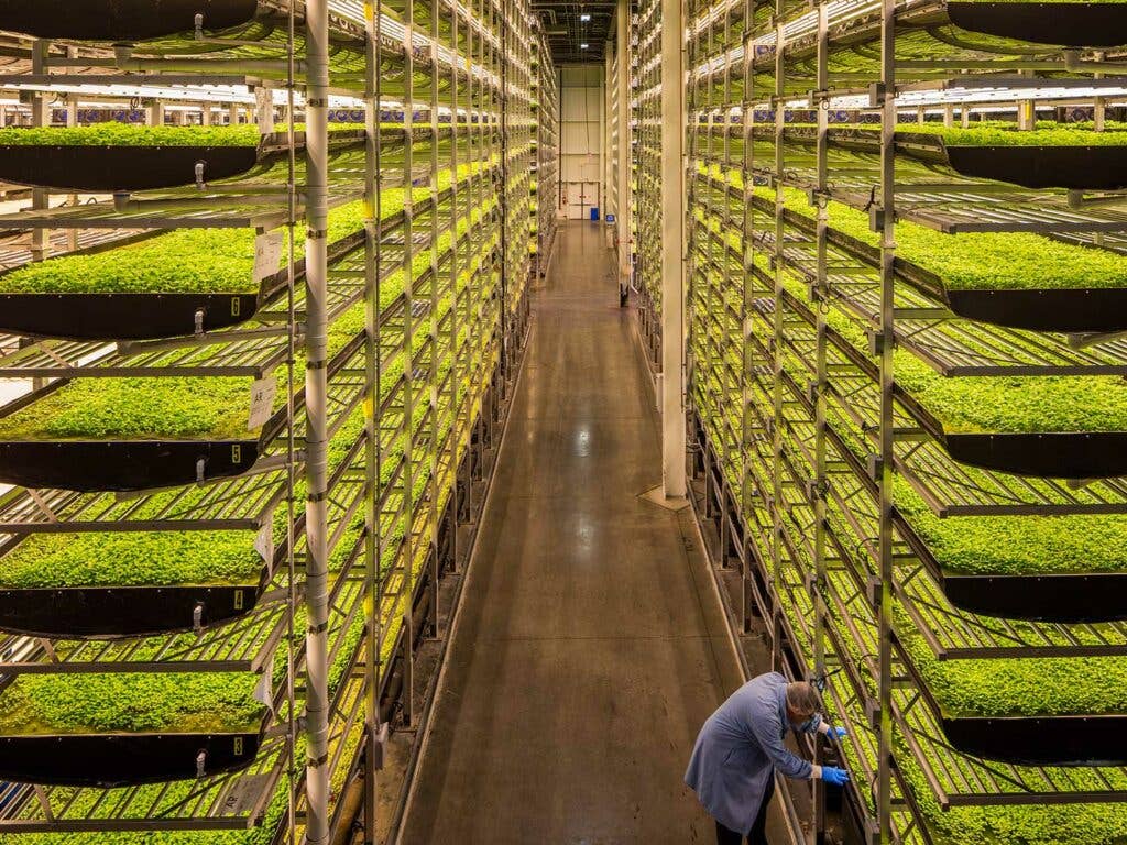 Aerofarms is a vertical farm located inside a former steel mill in Newark, New Jersey.