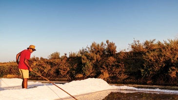Jorge Raiado harvests salt in Castro Marim, Portugal.