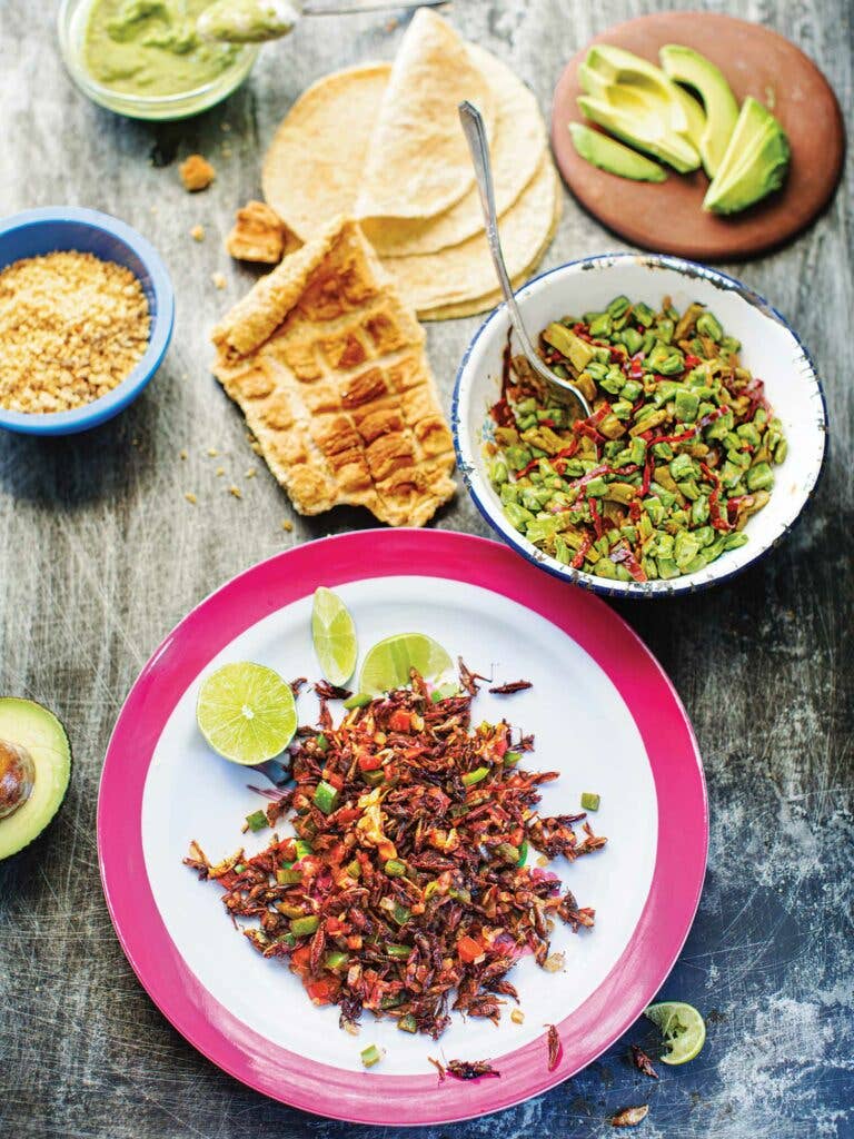 Nopalito Salad with Guajillo Chiles