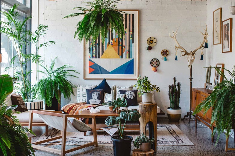 Living room with a lot of house plants