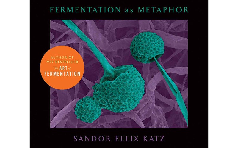 Fermentation as Metaphor
