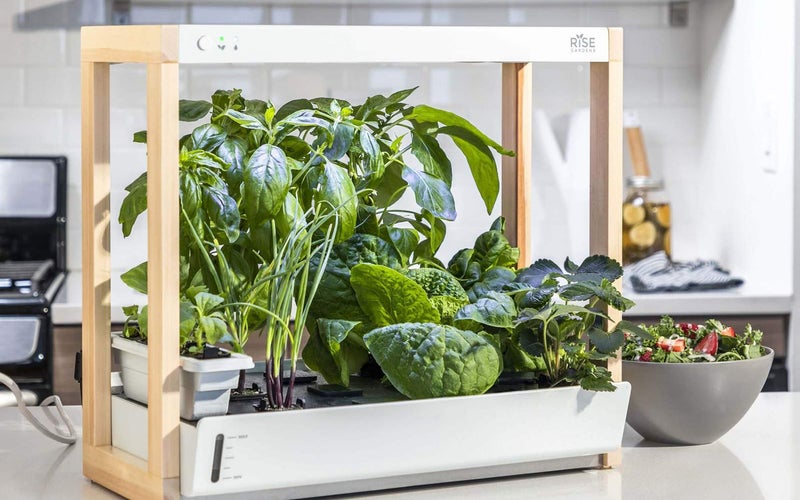 Countertop Herb Garden