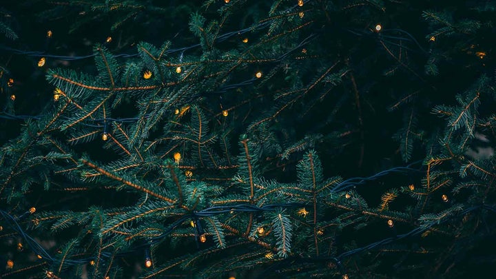 Evergreen Christmas tree wreath with lights.