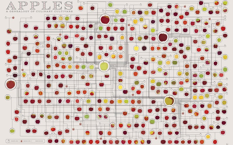 Popchart Labs Food Prints