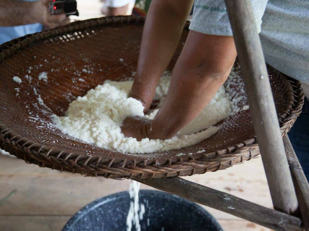 A Bora-Huitoto woman in the community of Pucaurquillo extracts the liquid from grated yuca.