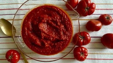 Sauce Tomate Mother Sauce
