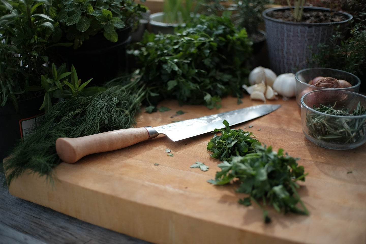 Best Santoku Knives