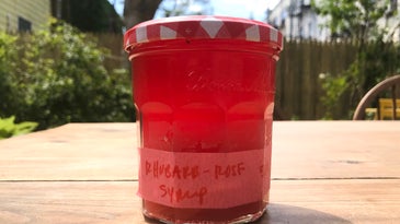 Rhubarb and Rose Syrup