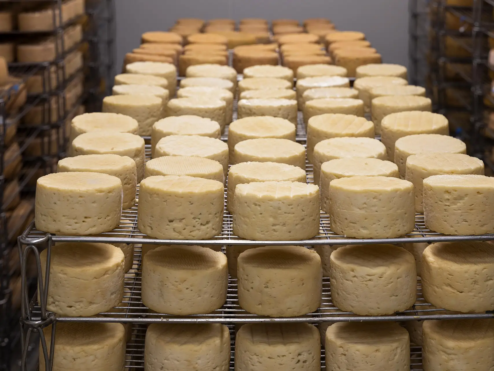 Bringing Home The Bread: A Remote Learning Experience | Sparhawk School Blog, image size:1707x1280