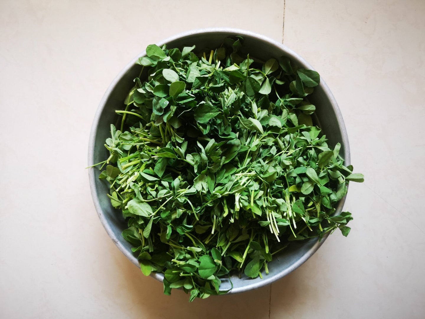 Fenugreek leaves