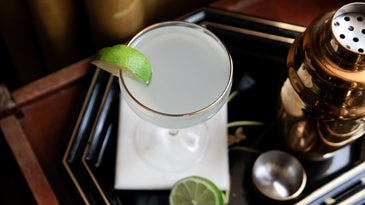 Gin Gimlet Celine Bossart Classic Cocktails