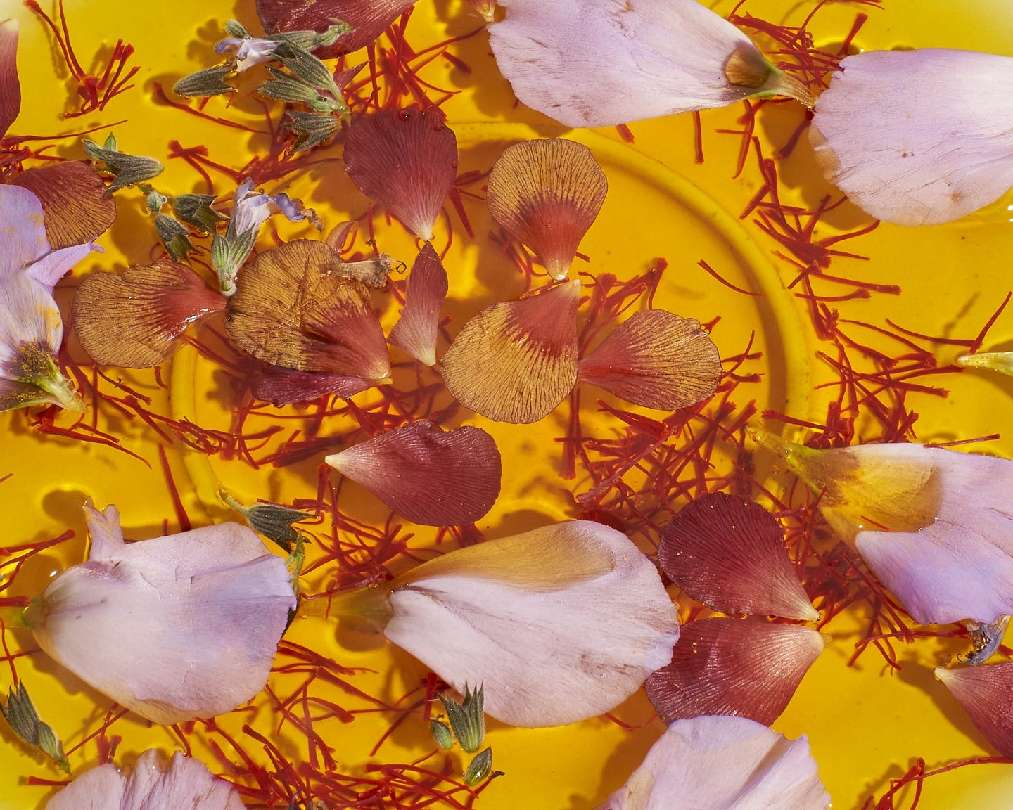 Afghan Saffron Spice by Anne Kim