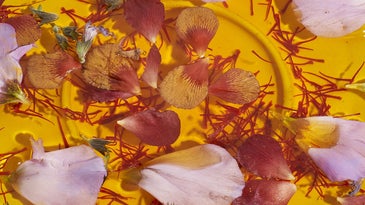 Afghan Saffron Spice by Anne Kim