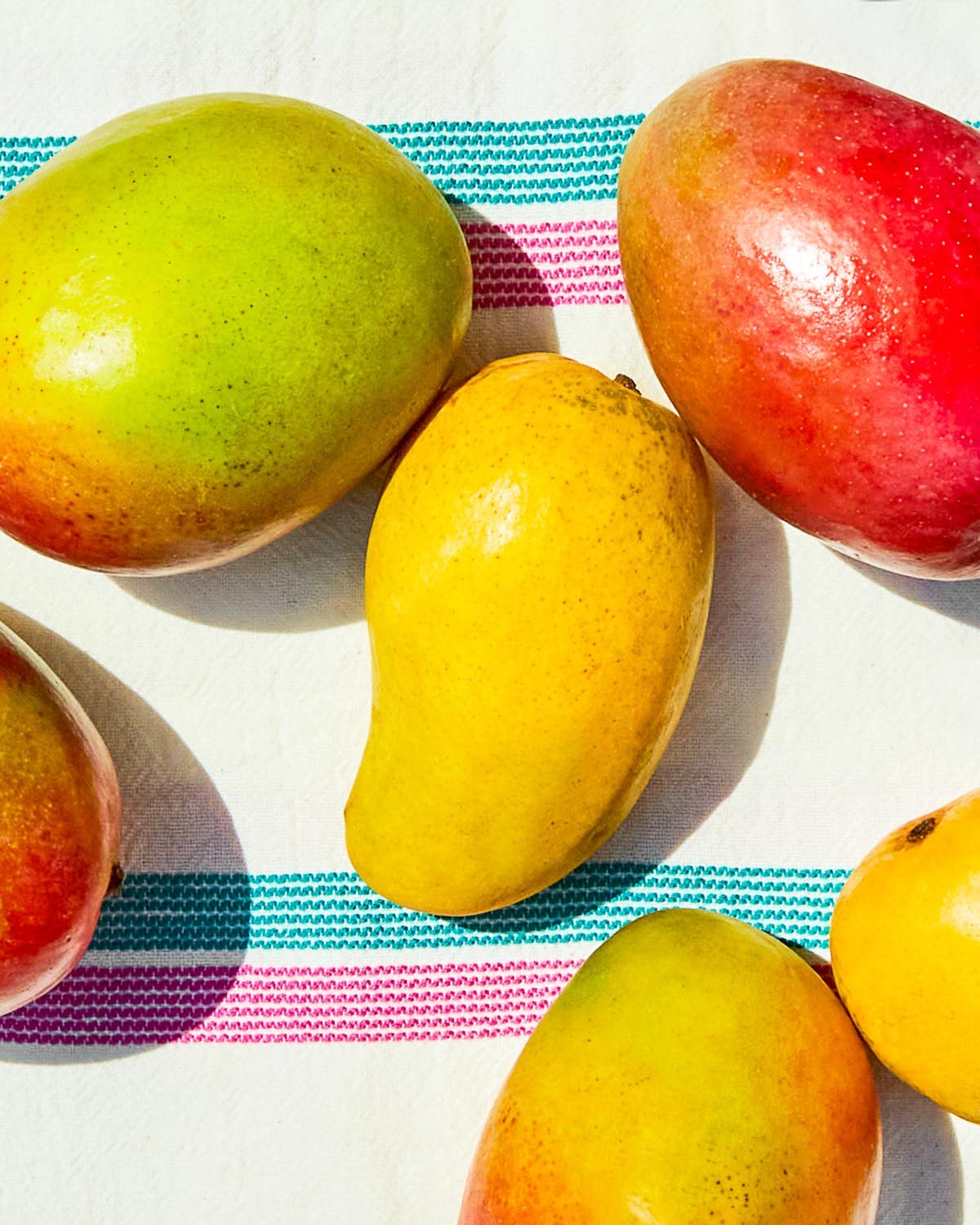 It’s Mango Time. Mango Varieties on White Cloth
