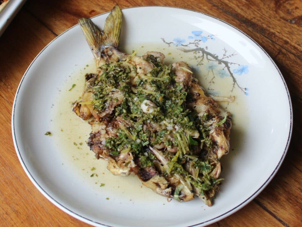 Grileld Catfish with Chimichurri Sauce