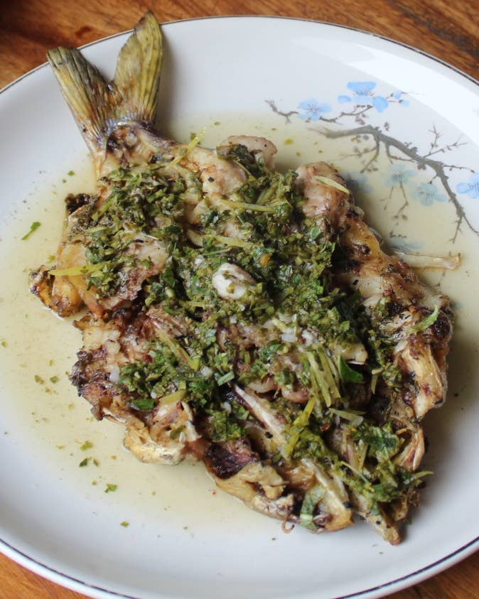 Grilled Catfish with Chimichurri