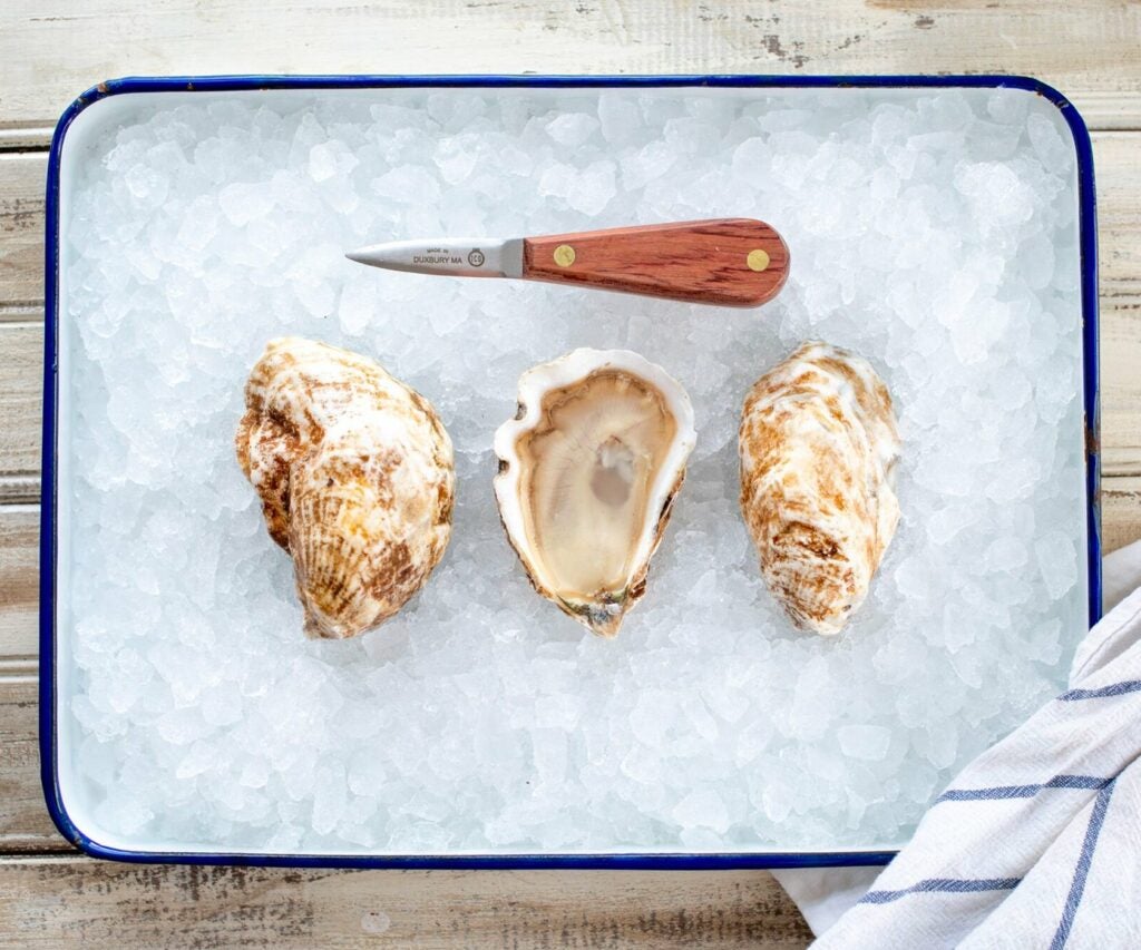 Oysters on ice