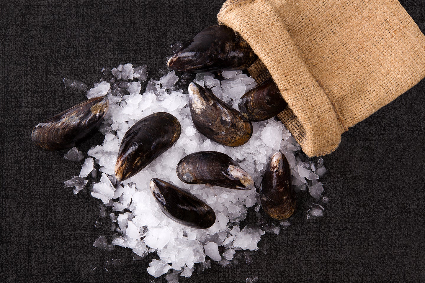 mussels on ice