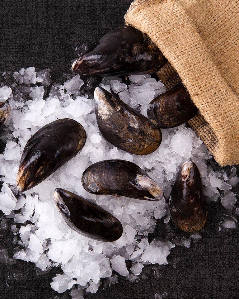mussels on ice