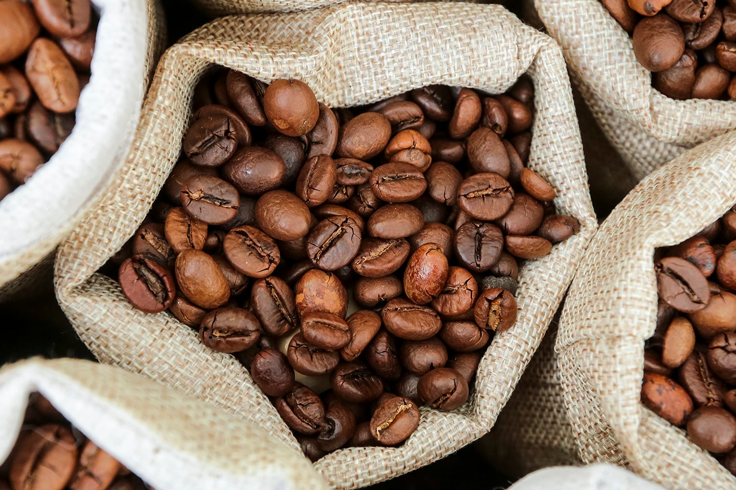 Roasted coffee beans