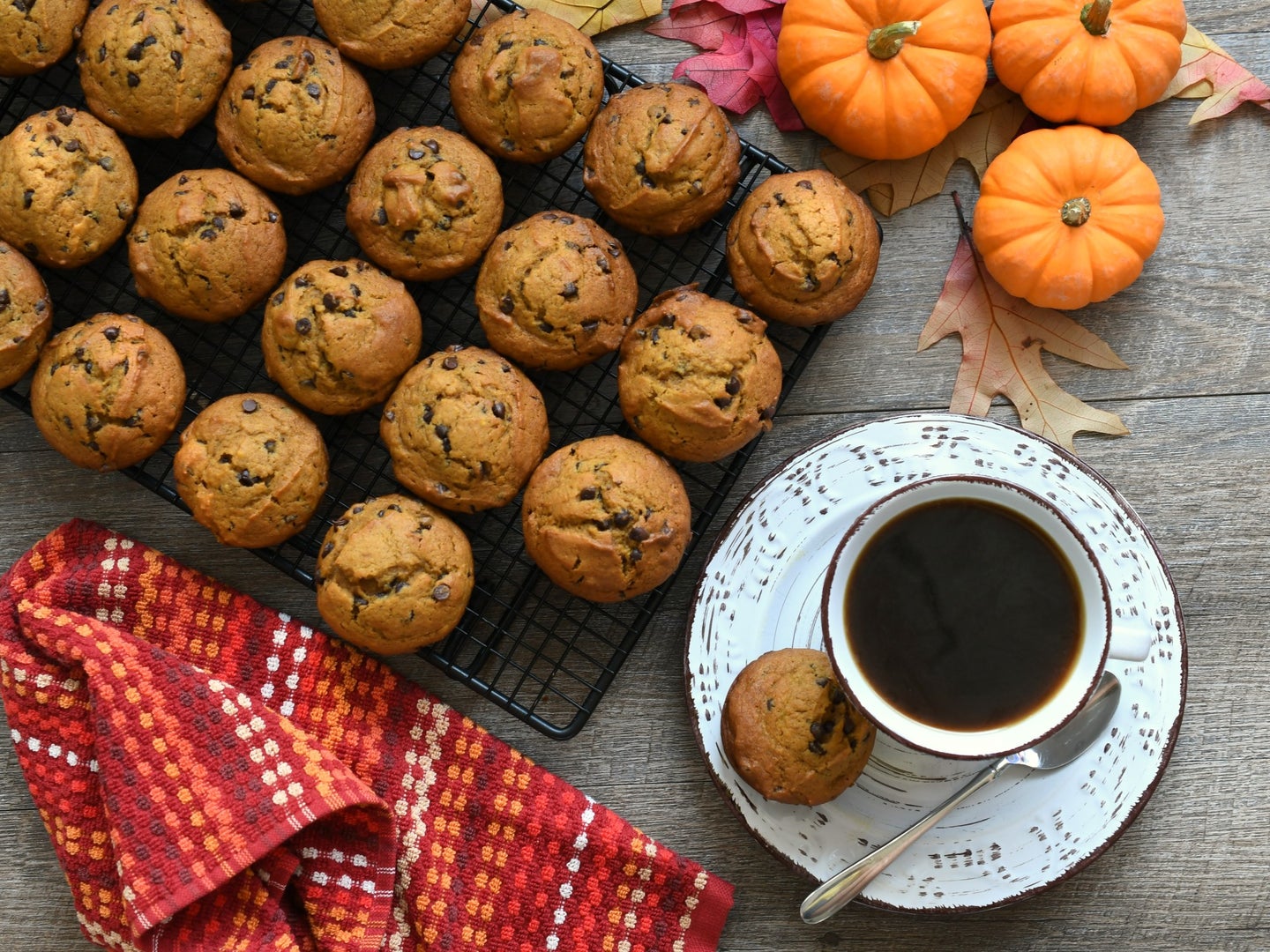 Fall Flavors at Starbucks