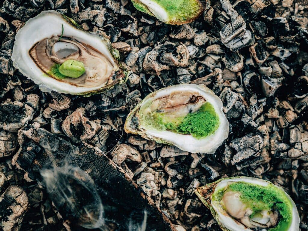 Ember Roasted Oysters on Coals