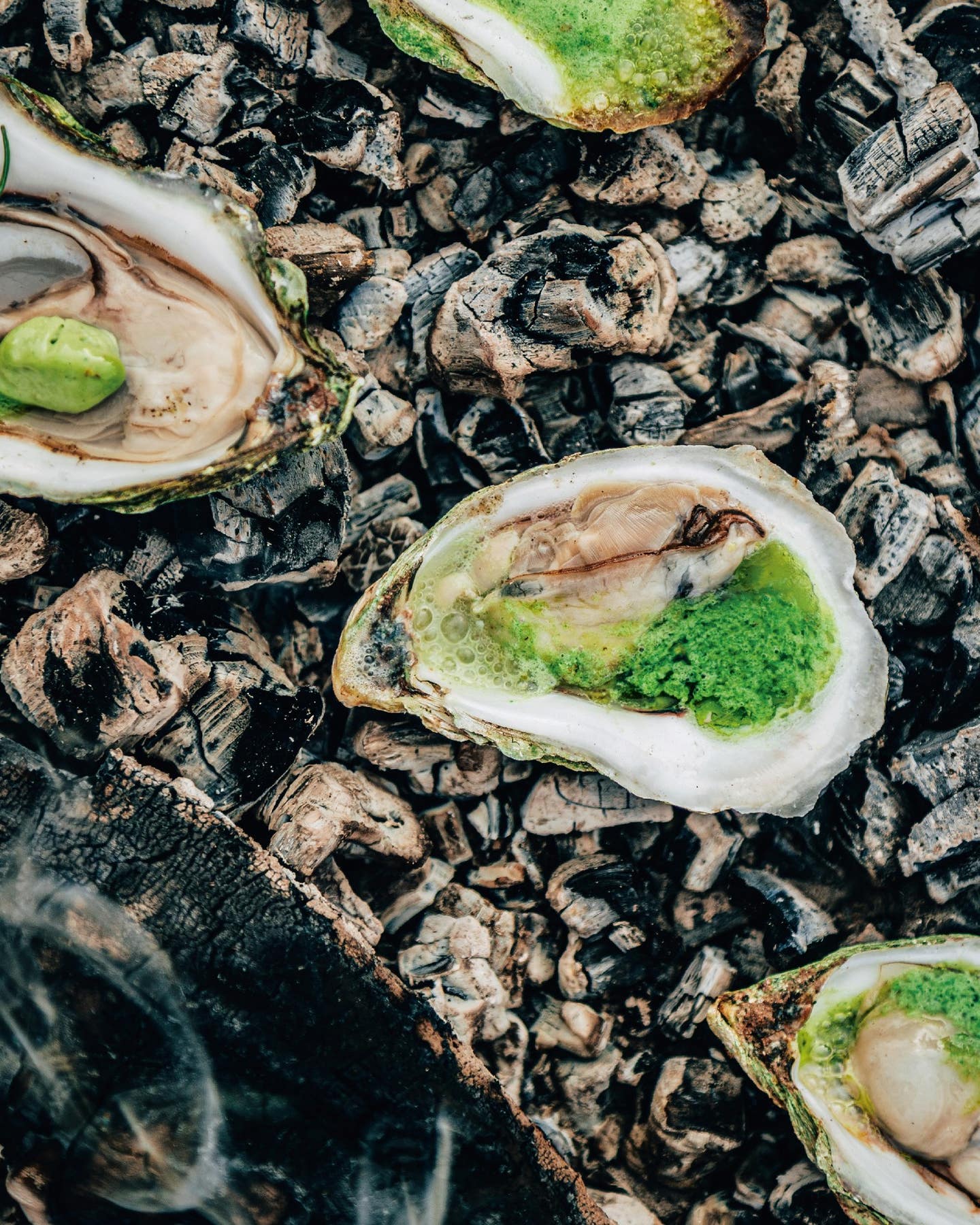 Ember-Roasted Oysters With Love Butter Ember Roasted Oysters on Coals