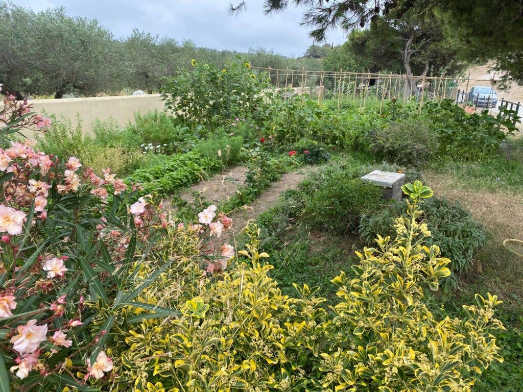 Laurent Chabert’s garden Château l’Hospitalet.