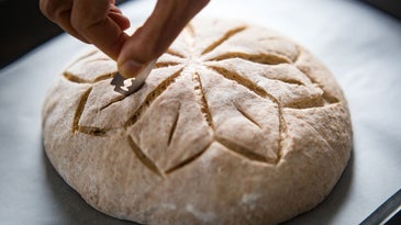Best Bread Lame