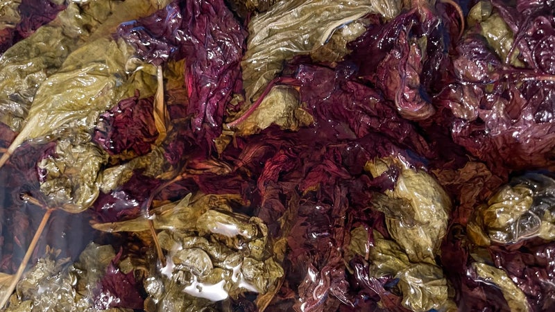 Showcase Your End-of-Season Aromatics in Cosme’s Herbal Elixir